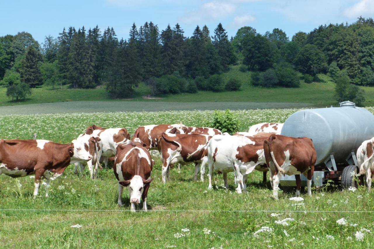 La Grange De Haute-Joux Les Fourgs Buitenkant foto